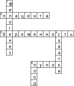 Кроссворд по предмету биологии - на тему 'Развитие зародыша и плода. Беременность и роды'