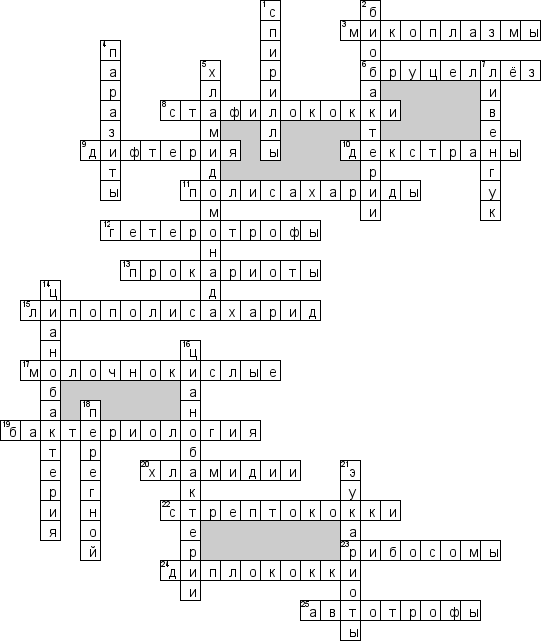 Кроссворд по предмету биологии - на тему 'Бактерии'