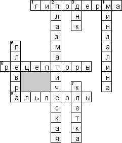 Кроссворд по предмету гистологии - на тему 'Дыхательная система'