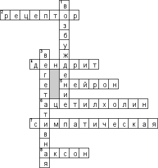 Кроссворд по предмету фармакологии - на тему 'Перефирическая нервная система'