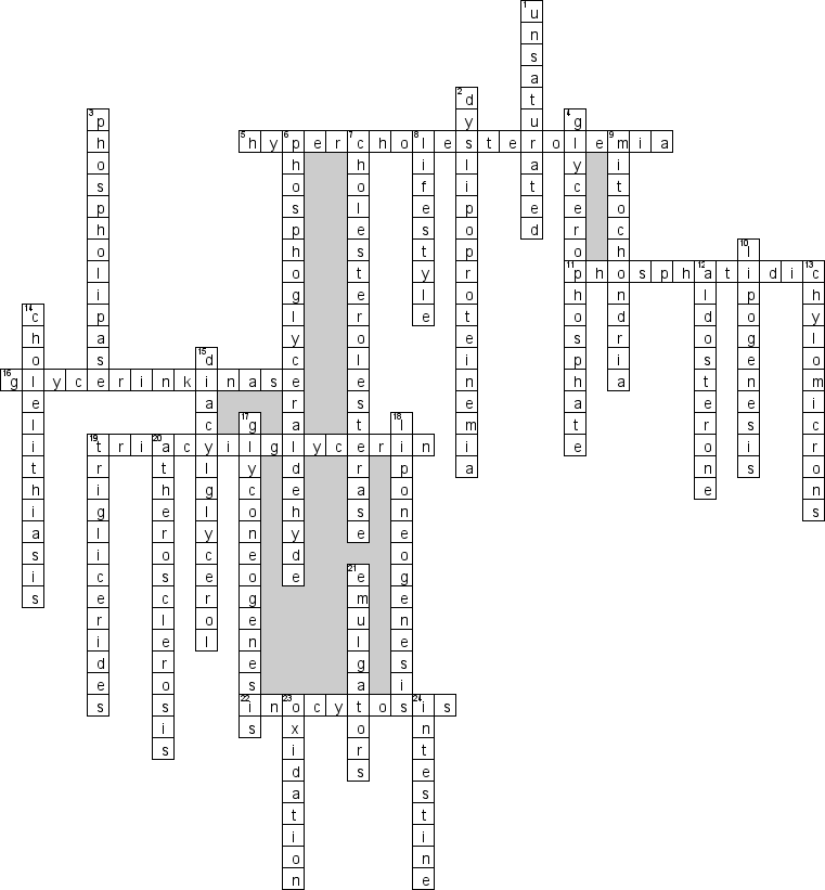 Кроссворд по предмету английскому языку - на тему 'Биохимия. Обмен липидов'