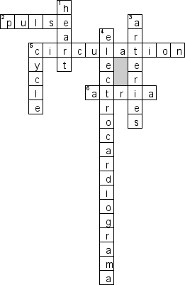 Кроссворд по предмету английскому языку - на тему 'Сердце'