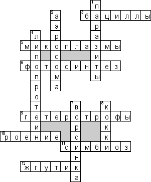 Кроссворд по предмету микробиологии - на тему 'Классификация бактерий'
