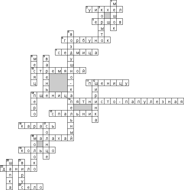 Кроссворд по предмету литературе - на тему 'Ершов Петр "Конек-Горбунок"'