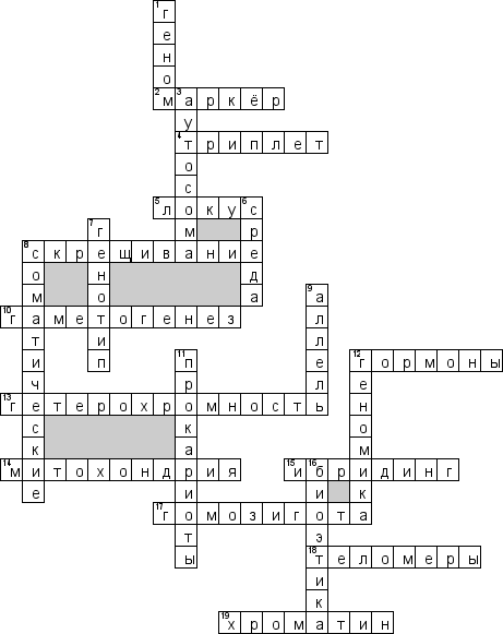 Кроссворд по предмету психогенетике - на тему 'Основы генетики'